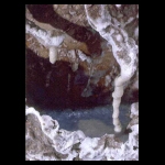 Cake Mouth detail 8x4 in.jpg